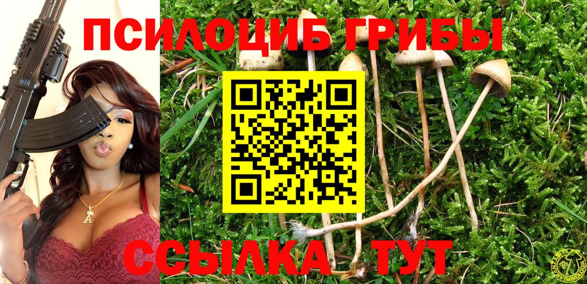 Ленинск-Кузнецкий  Псилоцибиновые грибы ЛСД  Вход с VPN 