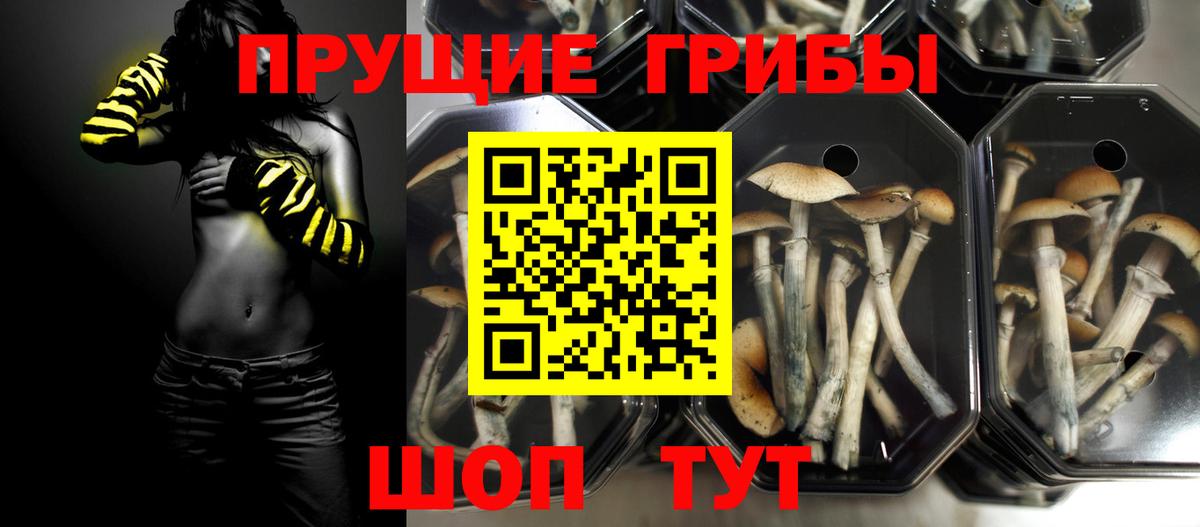 Псилоцибиновые грибы ЛСД Ленинск-Кузнецкий